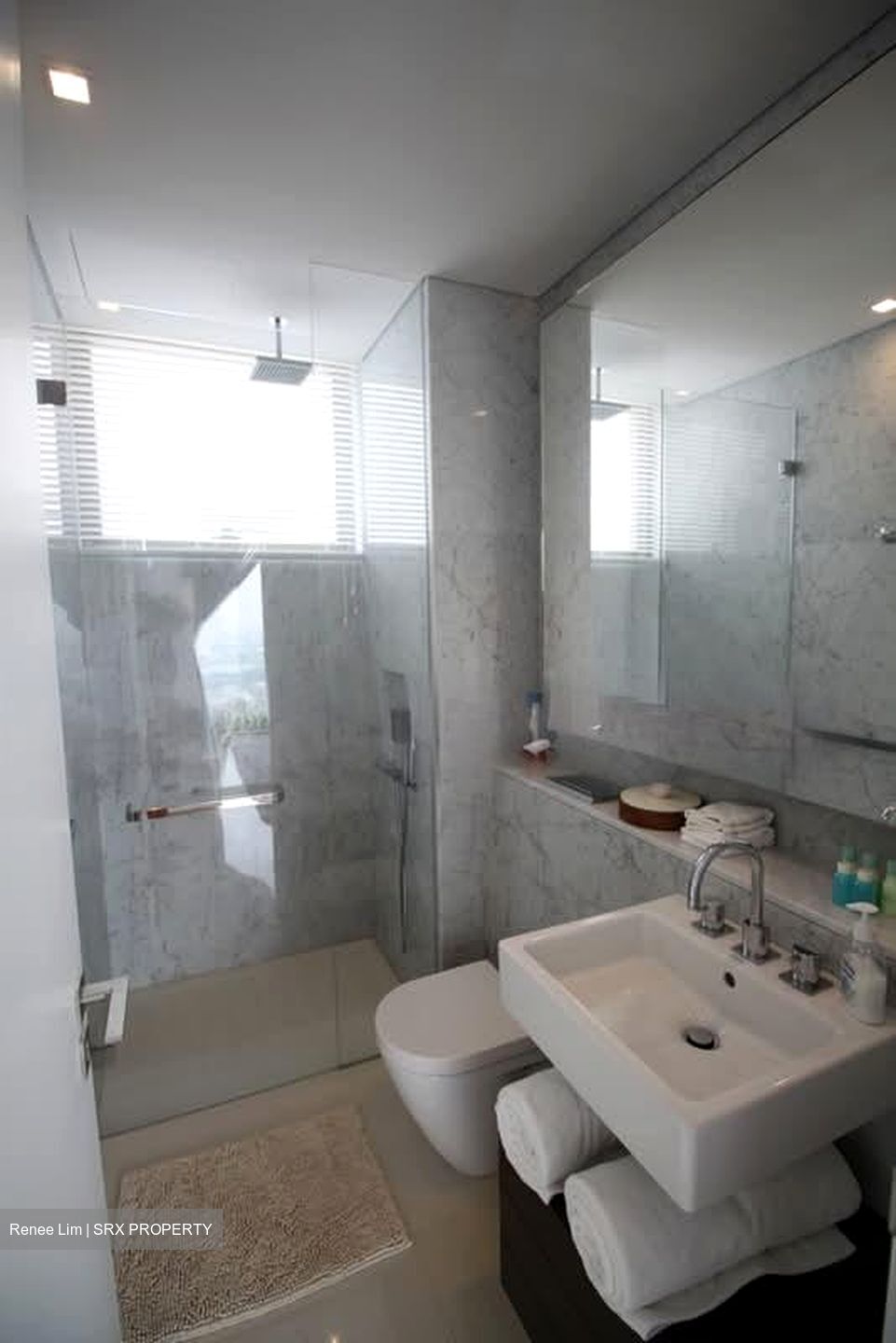 Scotts Square (D9), Apartment #610320811
